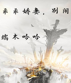 乖乖娇妻，别闹了