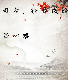 司令，秘爱成婚