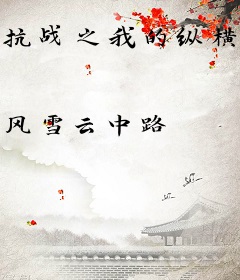 抗战之我的纵横人生