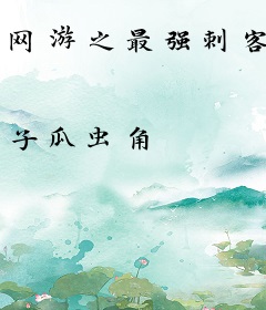 网游之最强刺客