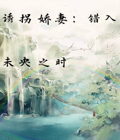 诱拐娇妻：错入总裁门