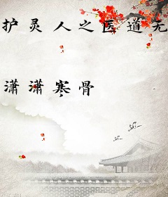 护灵人之医道无边