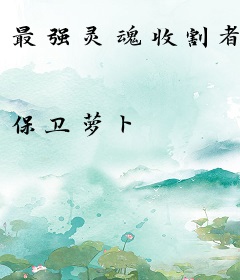 最强灵魂收割者