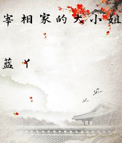 宰相家的大小姐：诸葛瑾明