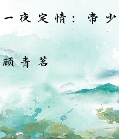 一夜定情：帝少的天价新娘