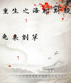 重生之海耶斯旋风