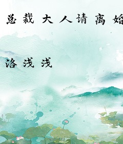 总裁大人请离婚