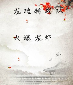 龙魂特战队