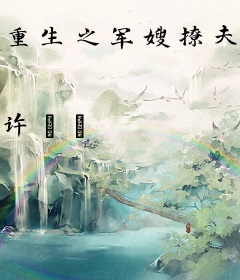 重生之军嫂撩夫忙