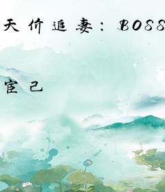 天价追妻：BOSS大神别过来