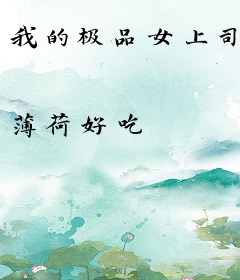 我的极品女上司
