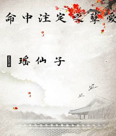 命中注定之孽爱