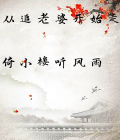 从追老婆开始走向巅峰