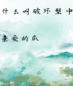 什么叫破坏型中场啊