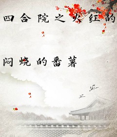 四合院之火红的年代