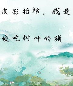 皮影抬棺，我是万煞之主