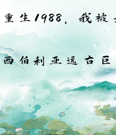 重生1988，我被亲爹偷听心声
