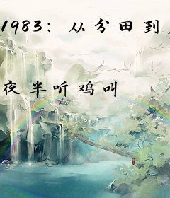 1983：从分田到户开始