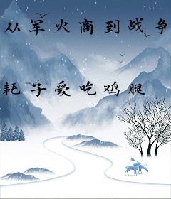 从军火商到战争之王