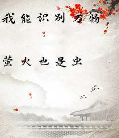 我能识别万物，但信息是错的