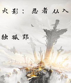 火影：忍者从入门到入土