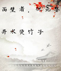 面壁者，但元婴期